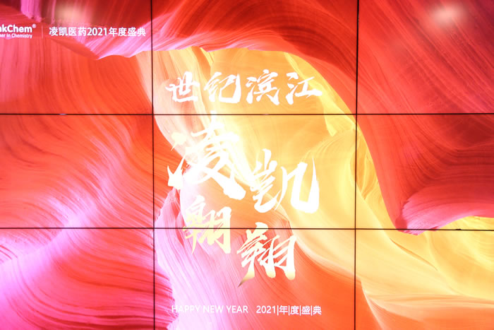 凌凯科技2021年度盛典