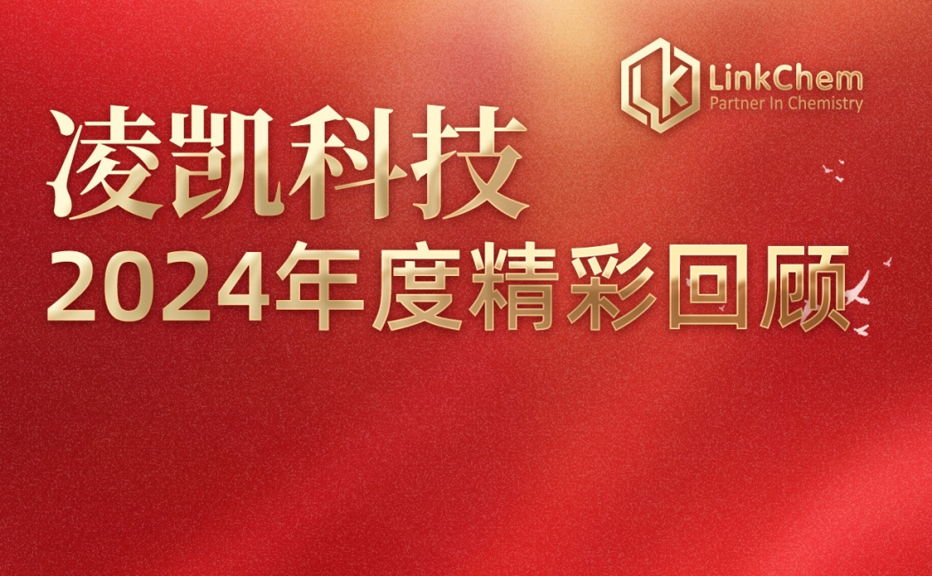 凌凯科技·LinkChem 2024年度精彩回顾