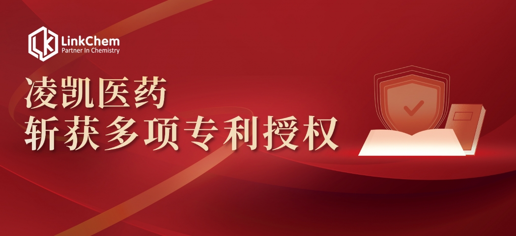 喜讯 | 科研创新持续发力！凌凯科技再获专利授权