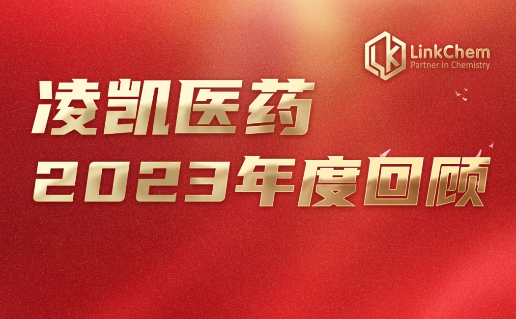 时光卷轴 | 凌凯科技2023年度精彩回顾