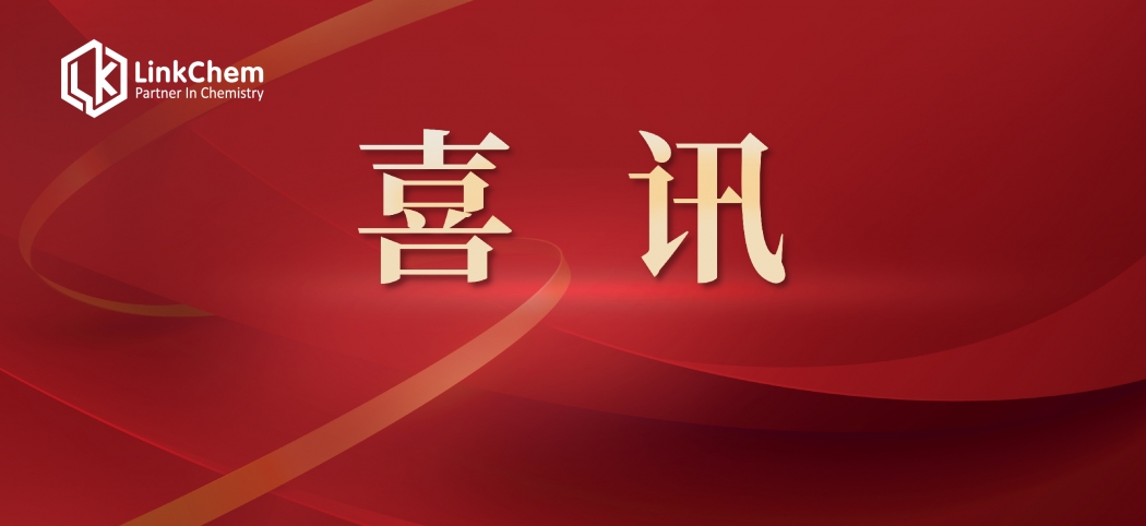 喜讯 | 凌凯科技 LinkChem 荣获“2024年上海市专利工作试点单位”